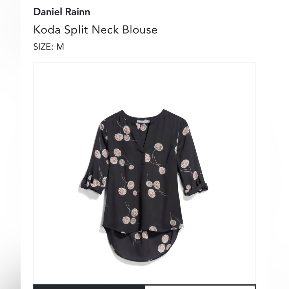 Daniel Rainn blouse